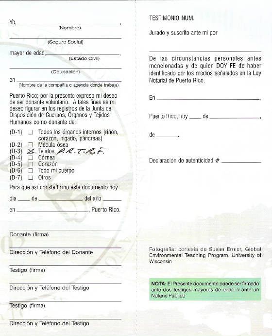 flyer1a.jpg
